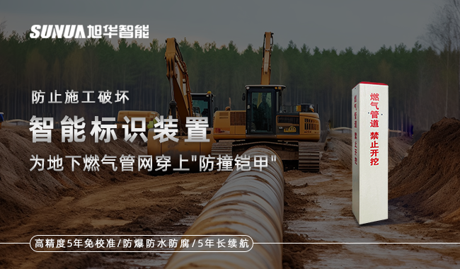 泵吸式激光可燃气体监测仪